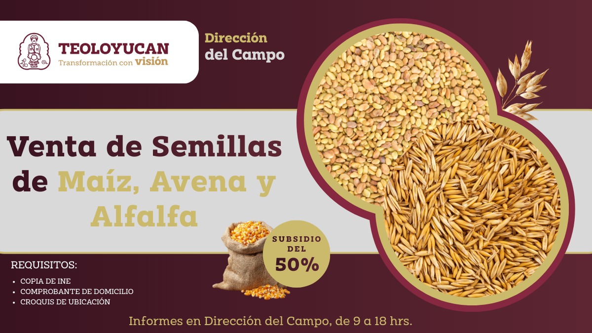 Digitalización 2026